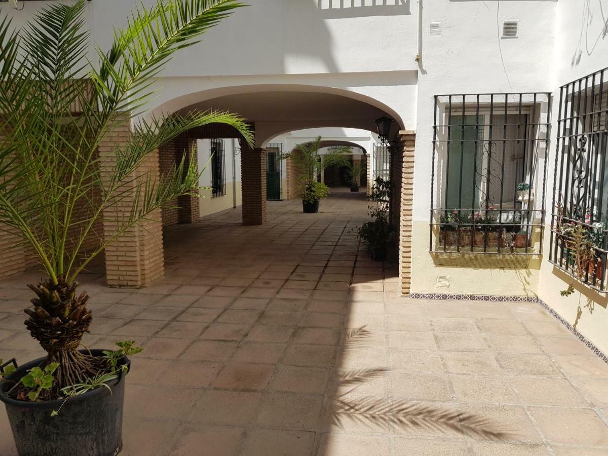 Apartamento En Los Patios De San Basilio Córdoba Exteriör bild